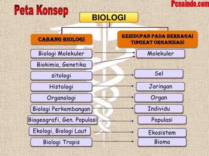 Pengertian Biologi Sejarah Manfaat Dan Cabang Biologi